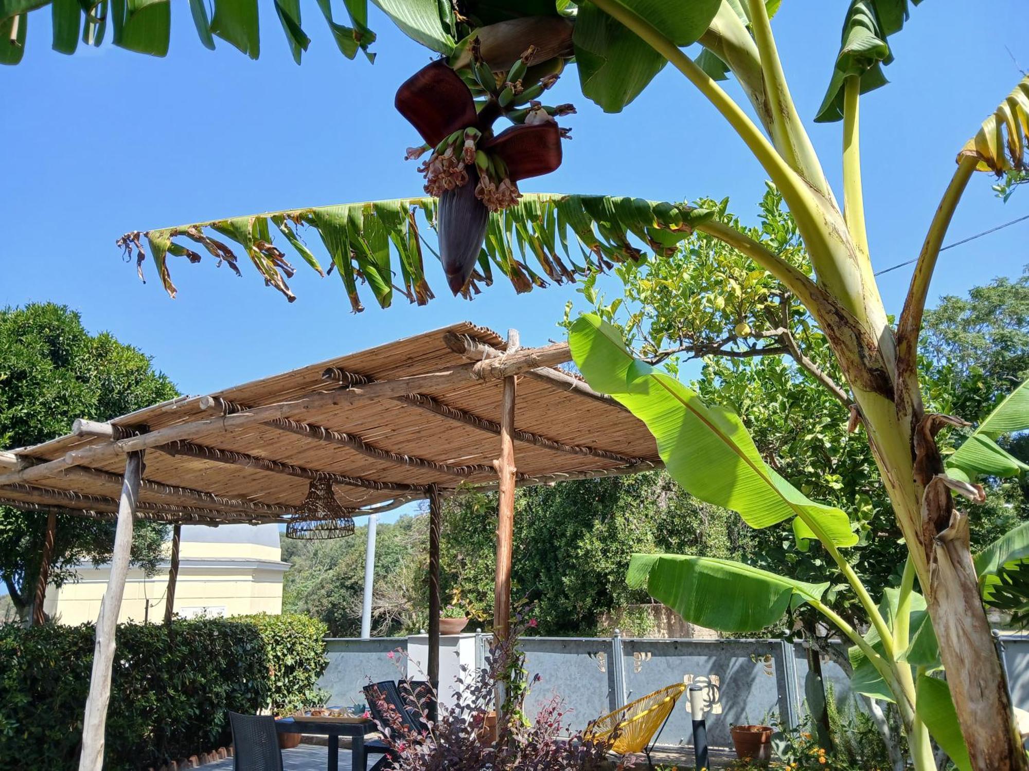بروسيدا Sonnino B&B الغرفة الصورة